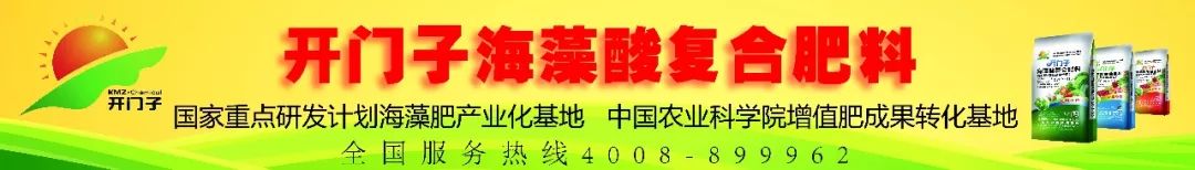 多地小麦出现发黄枯死现象,近期小麦发黄的原因怎么补救