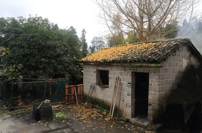 黄鼠狼偷鸡是什么原因,黄鼠狼偷鸡为啥毛都不剩