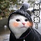 自由幻想新生班,手游自由幻想觉醒表