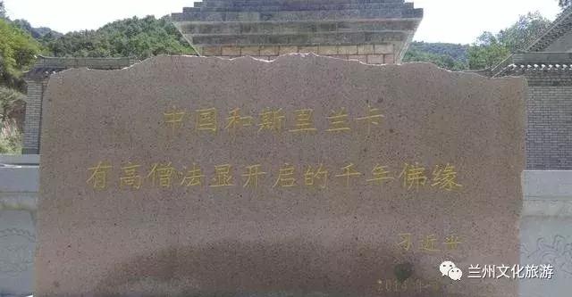 鲁冰花花海哪里可以看,兰州千亩鲁冰花