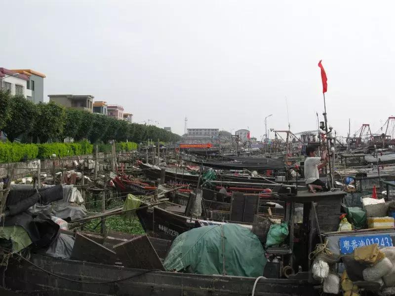 番禺区村级篮球赛,广州市番禺区业余篮球比赛