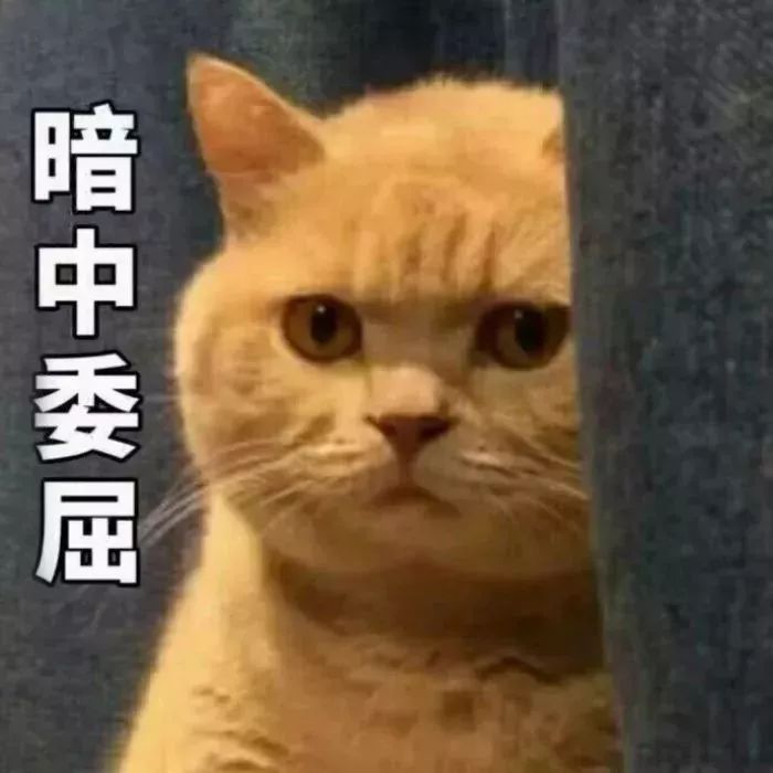 济南市莱芜区最近的房价如何,莱芜房价各兴宇学府小区排行表