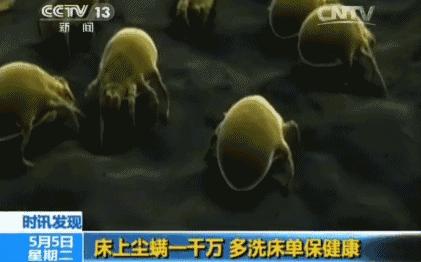 这种肉眼看不见的小虫无处不在的危害着宝宝健康，专家支招这样做