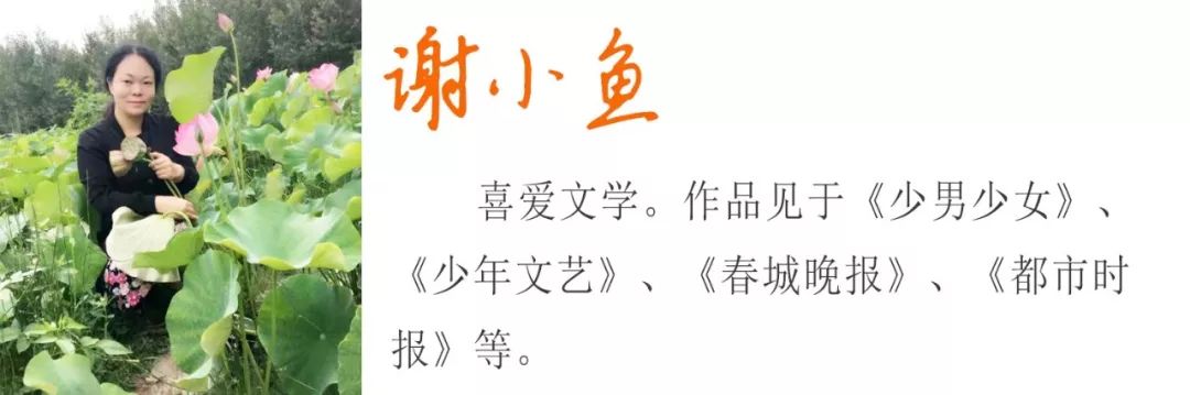 归来的你依然青春伴奏,归来的你依然青春