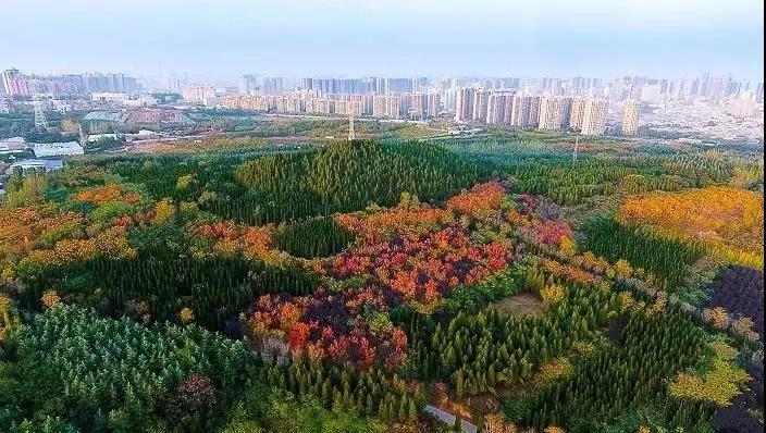 懿家推荐｜中南广场阅尽繁华方知山水无价安家中南纵享轻奢生活