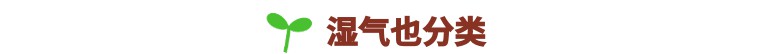 头发和面部老出油厉害中医辨证,头发老出油身体怎么调理
