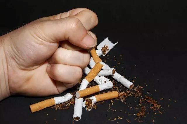 10种改善肌肤的食物,10种食物保持好身材