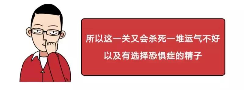 你不是最快的那颗精子，却是运气最好的！