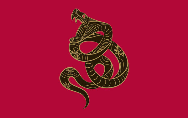 六月背运的生肖,六月开始这四大生肖时来运转