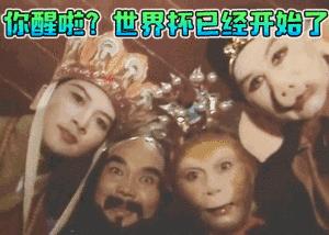 球星卡套免费送｜冠军之夜和“三喵军团”一起围观，等你来领奖~