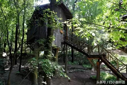避暑民宿推荐,避暑最好的民宿排名河南