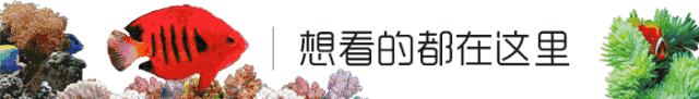 新人下海血泪史！看完别笑！都陪我哭！