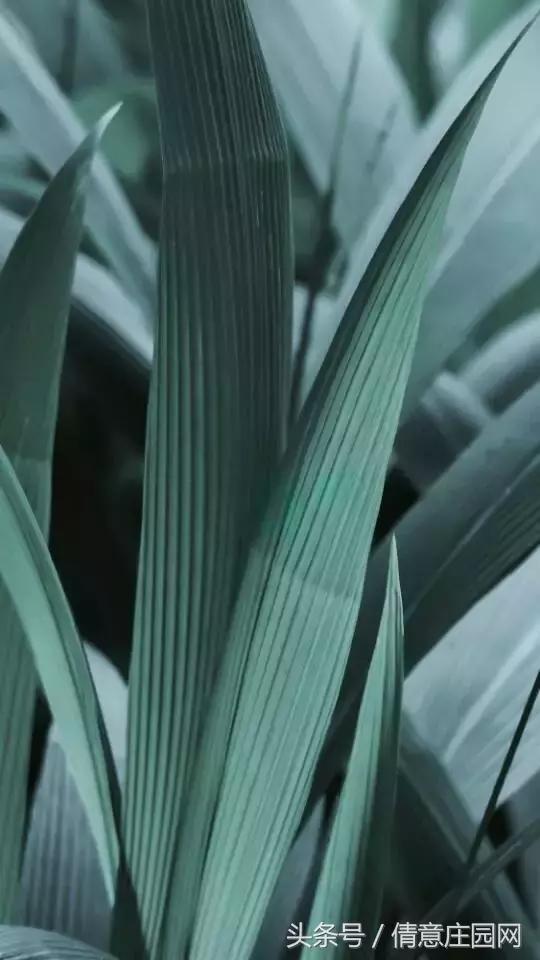 你拍照片,怎么样让拍的照片颜色更鲜艳