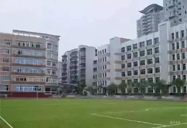 2021重庆小学划片区查询,重庆2023小学划片时间