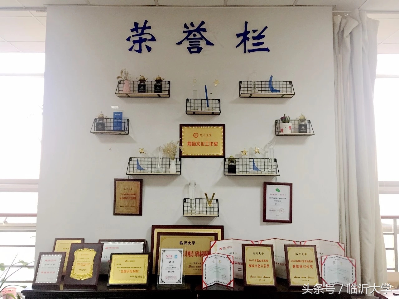 临沂大学排名前十的专业,临沂10所大学排名