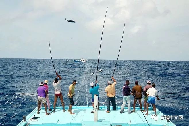 海钓需求准备些什么,海钓的玩法和技巧