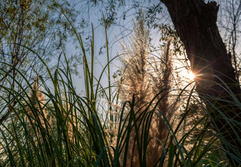 无锡夏日避暑胜地,无锡适合周末玩的公园