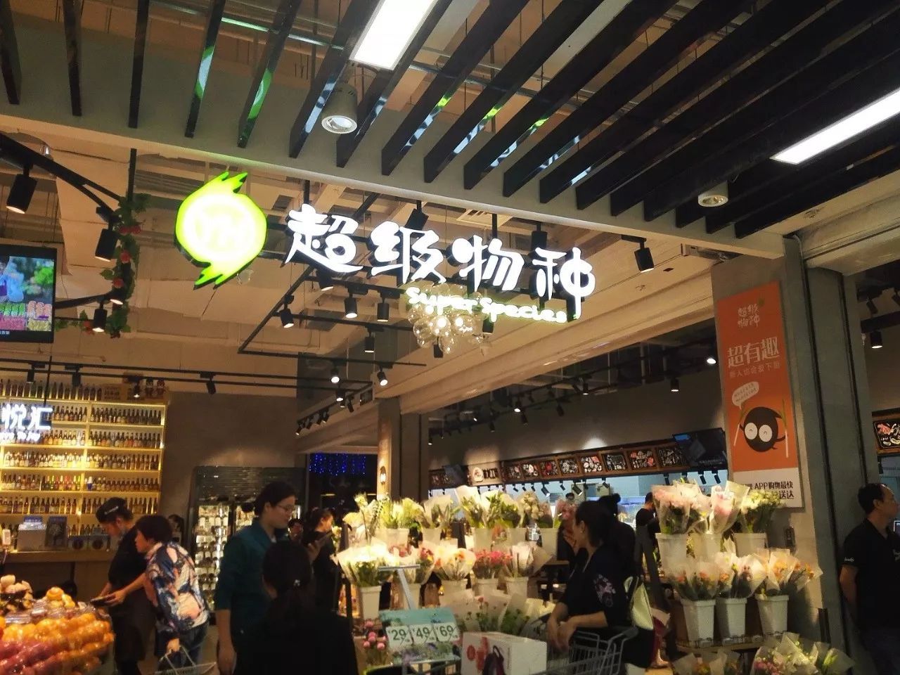 还是说元贝，为何这么受欢迎，我们购买时要注意什么