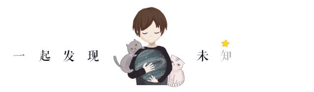 12星座扎什么头发最好看,12星座怎么编头发最好看