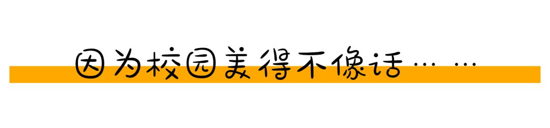 该不该去上海读大学,千万不要来香港读研