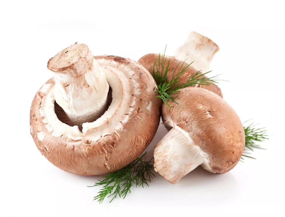 这9种食物是妇科炎症的“天敌”,每天吃一点排毒灭菌！