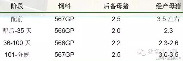 猪场分娩舍有哪些重点,猪场正常分娩接产的动手流程