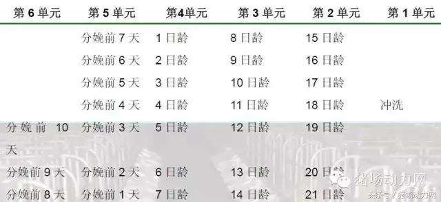 猪场分娩舍有哪些重点,猪场正常分娩接产的动手流程