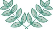 嘉兴王店梅里新城未来5年规划,梅里水乡