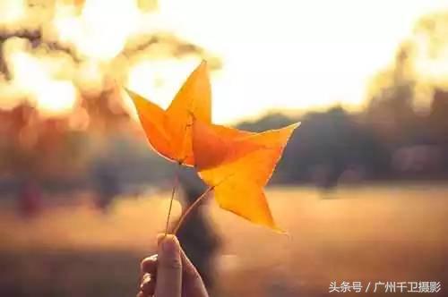 拍照什么时候需求调白平衡和色温,色温与白平衡拍摄技巧