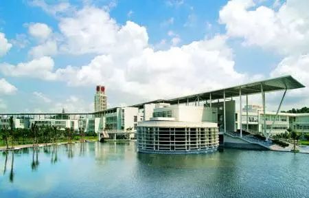 深圳失去了就会爱上的城市,深圳现状是什么