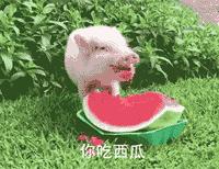 收藏此文，中药补汤不白喝