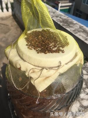教你正宗酱豆做法，一口一个馍，比大鱼大肉大虾好吃多了！