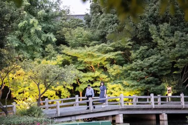 名古屋5天亲子游攻略,名古屋旅行经典二日游