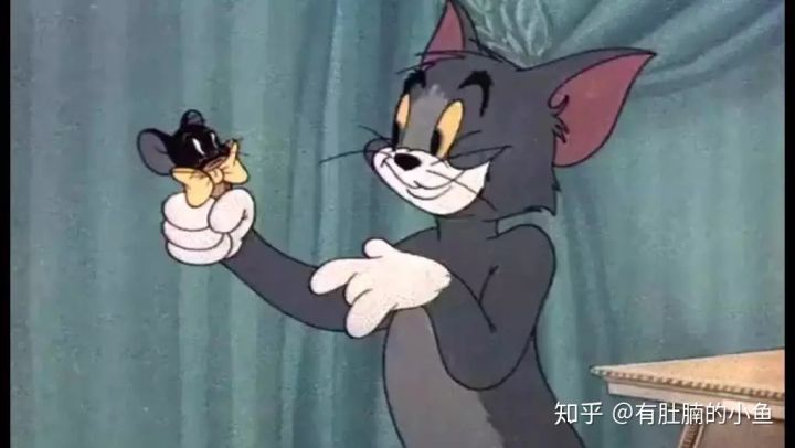 蓝猫的品种科普,俄罗斯蓝猫和其他蓝猫区分