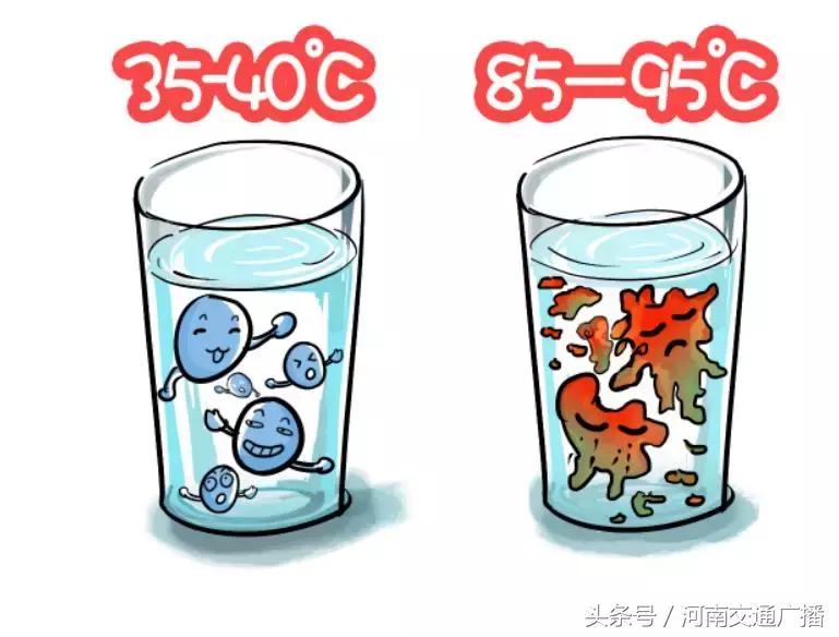 益生菌到底要不要给宝宝用,益生菌到底该怎么给宝宝吃