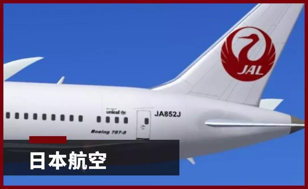 飞机公母头的区分,飞机如何分辨公母