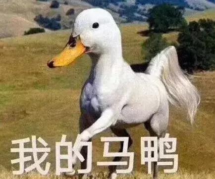 资生堂安耐晒新款测评,韩国货资生堂安耐晒