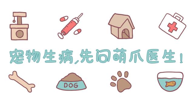 猫狗血糖低怎么办,小猫低血糖需求补多久