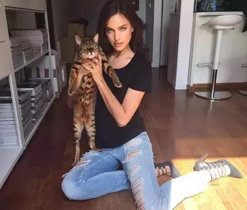 维密天使猫猫走秀,维密超模走秀猫咪