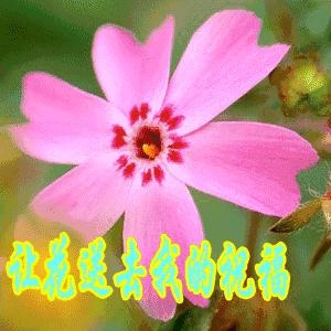 9.13，我把祝福送给你，幸福你每一秒，早晨好！