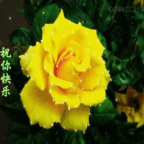 9.13，我把祝福送给你，幸福你每一秒，早晨好！