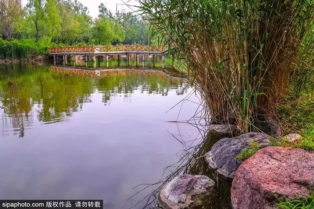 想拍烟柳水岸，何必远赴江南？在北京这些地方，轻松拍出江南美景！