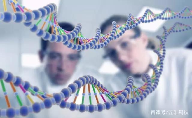 人类大脑开发到100会超过机器人吗,科学家发现人类智商在迅速提高