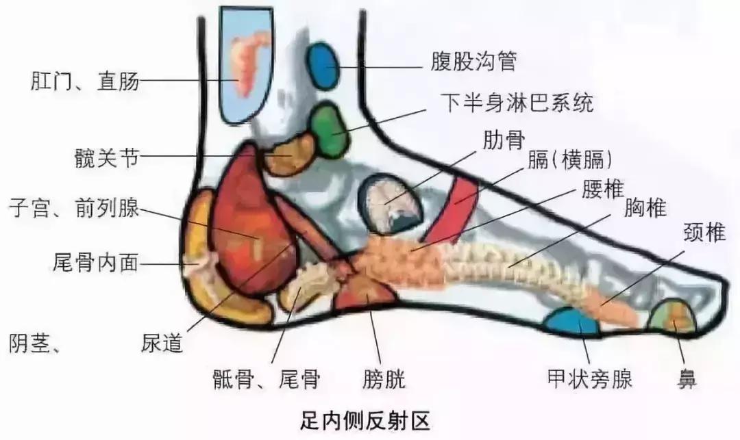 《40个常见病穴位按摩大全》，只发一次，需求的收好了~