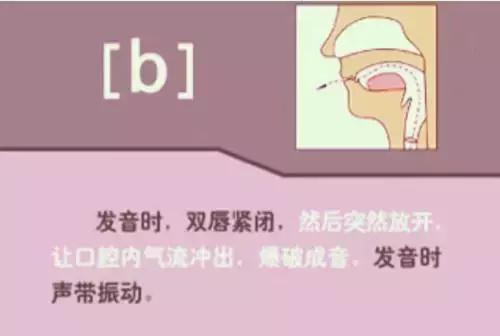 如何正确学习48个英语音标发音,英语音标速成48个简单实用易学