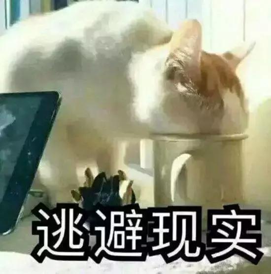 ahc第二代洗面奶辨别真假,ahc洗面奶真假辨别方法