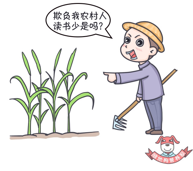 足贴减肥可信吗,足贴真的能排毒瘦身吗