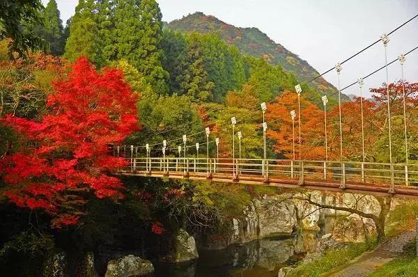 东京和北海道哪里旅游好一点,东京和北海道哪里旅游便宜
