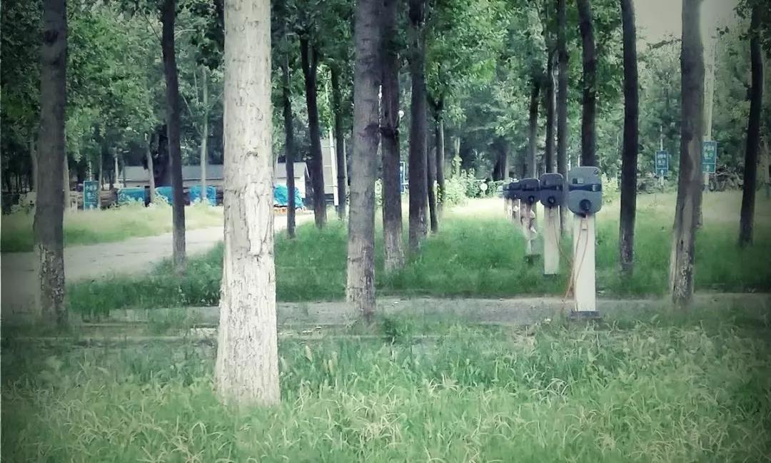 贾跃亭能造多少电动车,贾跃亭最新电动车