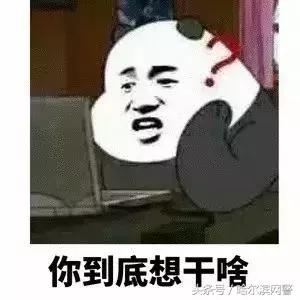 中国锦鲤的套路有哪些呢,中国锦鲤为什么火了